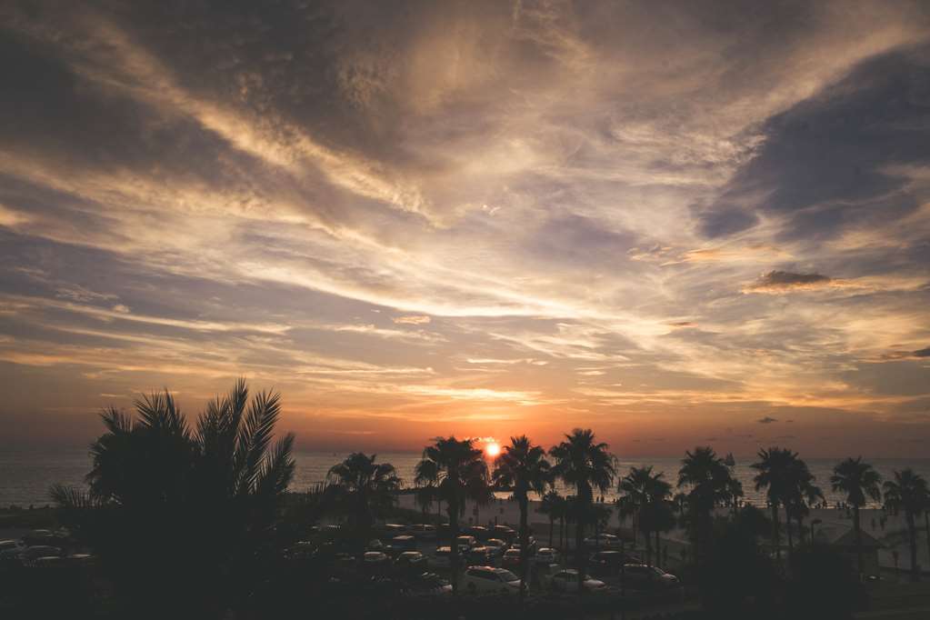 Magnuson Hotel Clearwater Beach Természet fotó